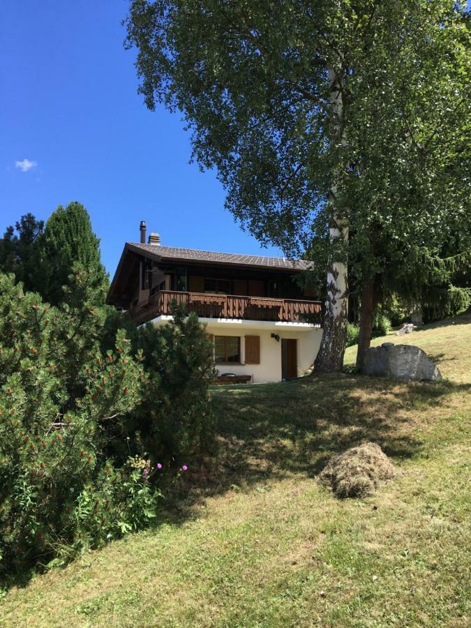 Ferienwohnung Im Chalet Firn - Og Burchen Bagian luar foto
